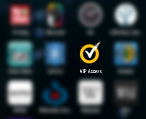 paypalSicherheitsschlüssel_VIP_icon