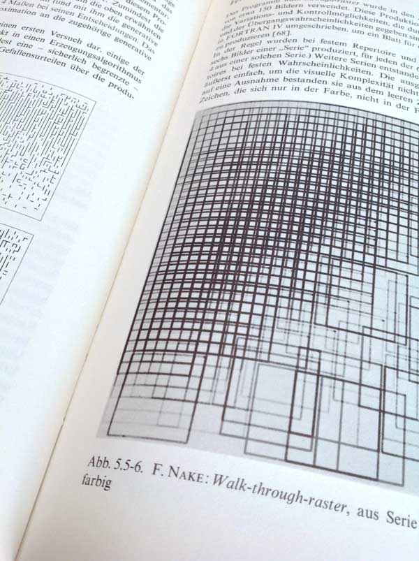 nake_walkThroughRaster